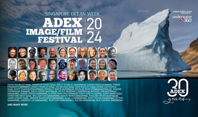 ADEX Singapore 2024 Image/Film Festival Program
