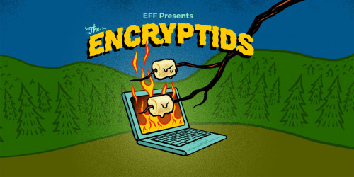 Marshmallows roasting over the flames of a laptop in a forest with text: EFF Presents The Encryptids