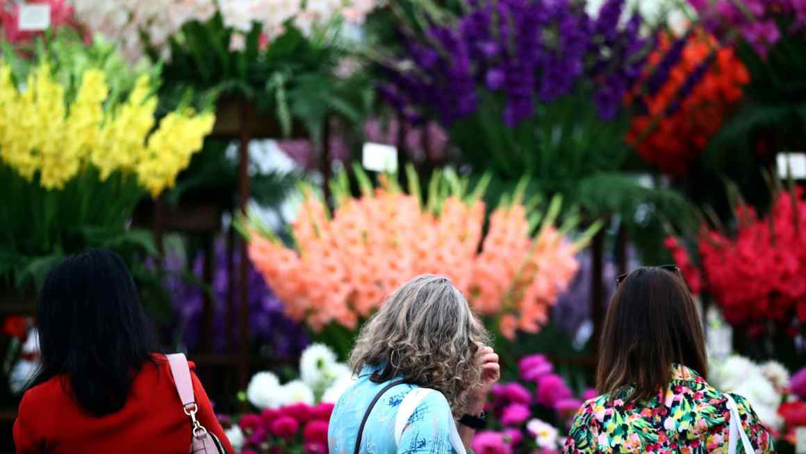 Can Chelsea Flower Show sustain itself?