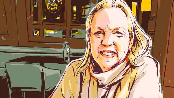 Investor and ‘Dragon’ Deborah Meaden: ‘I am not mean. What I am is . . . tough’