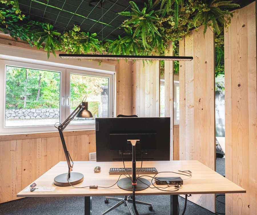 Ein modernes Büro aus Holz mit grünem Deko und Pflanzen