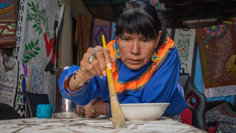 Peruvian indigenous artist, Olinda Silvano holds a long paintbrush and leans over a work surface to paint a piece of cloth.