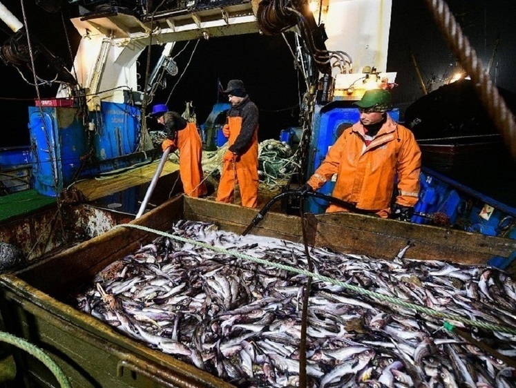 Изображение Рыбопромысловую компанию заставили оплатить браконьерский улов