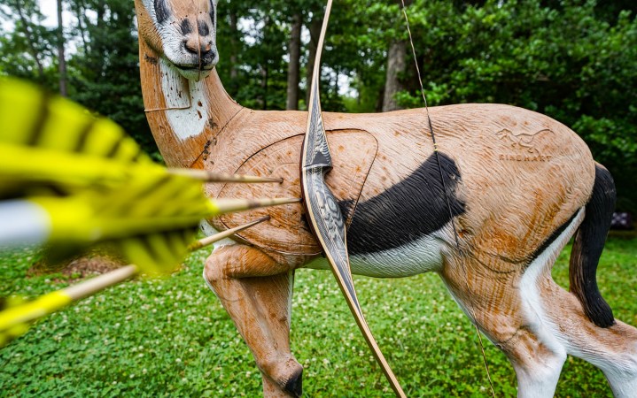 Budget Trad Bows: These Cheap Bows Shot Surprisingly Well Against a Custom Recurve