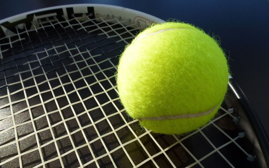 Wimbledon 2024 : à quelle heure et sur quelle chaîne suivre les matchs en direct ? // Pixabay
