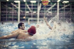 A group of men play water polo