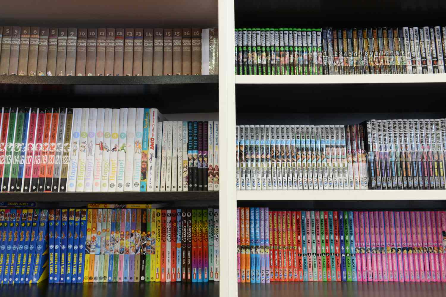 shelves of manga