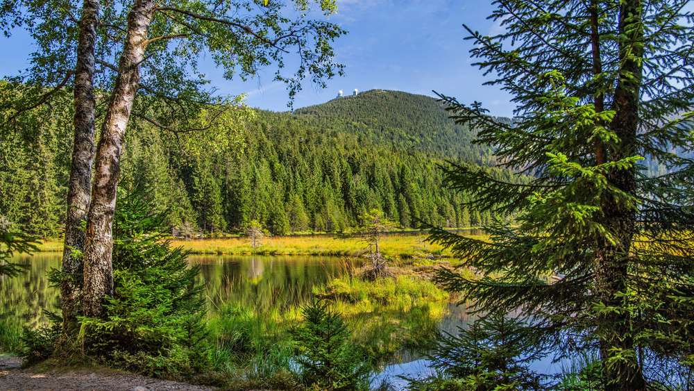 Natur pur am Großen Arber: Ausflugstipp im Bayerischen Wald