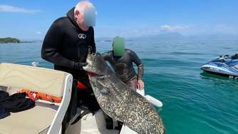Taucher jagen eingeschleppten Monsterfisch am Gardasee – „Er ist sehr gefräßig“