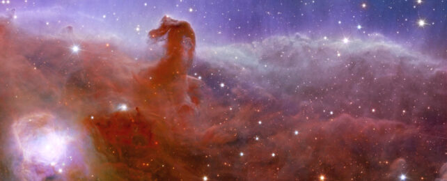 Red and purple nebular with horsehead shape