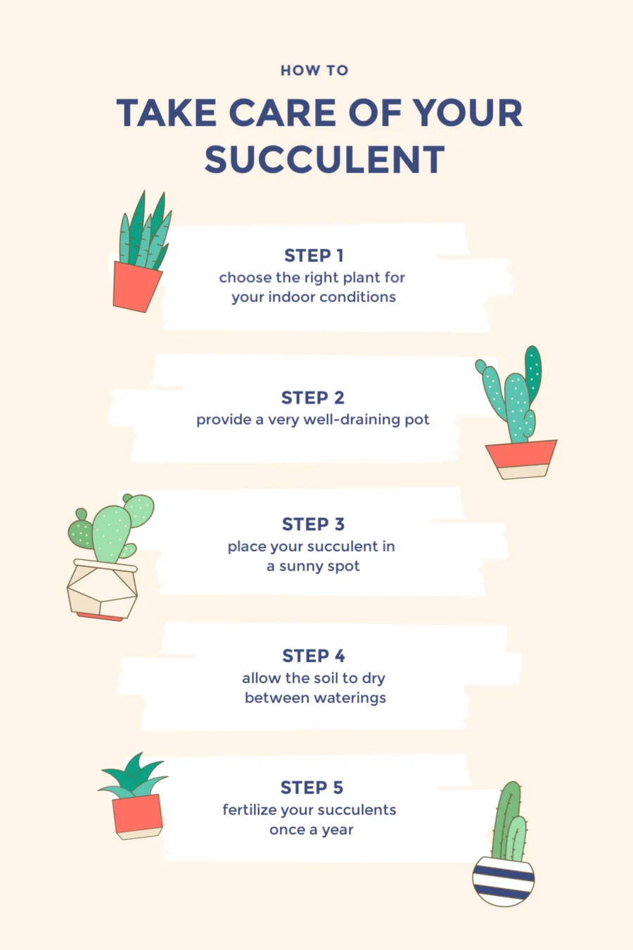 Care of Your Succulent flyers-infographics template