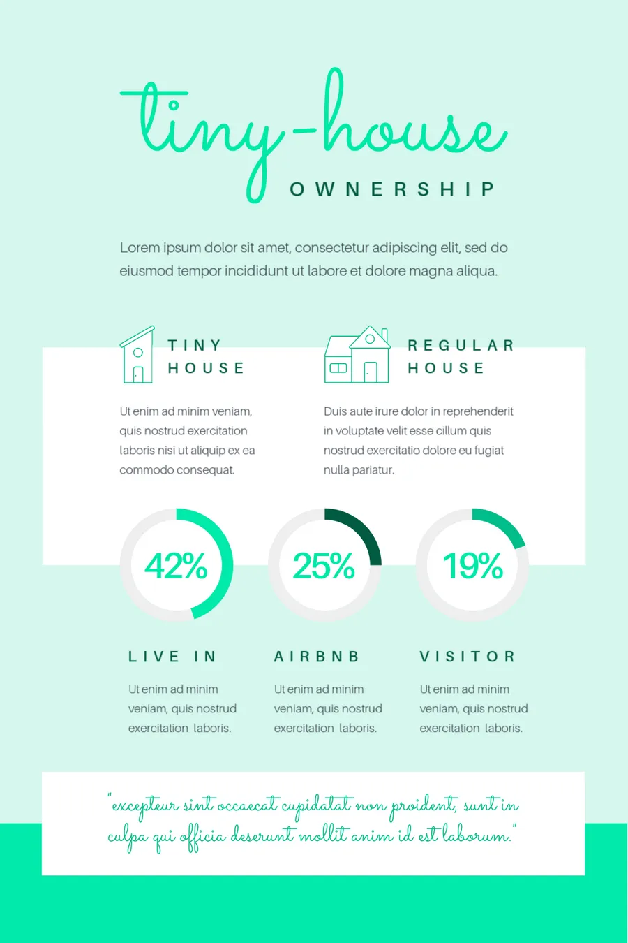 Tiny House Ownership flyers-infographics template