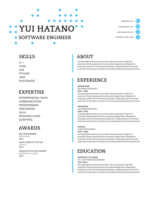 Resumes 2 resumes template