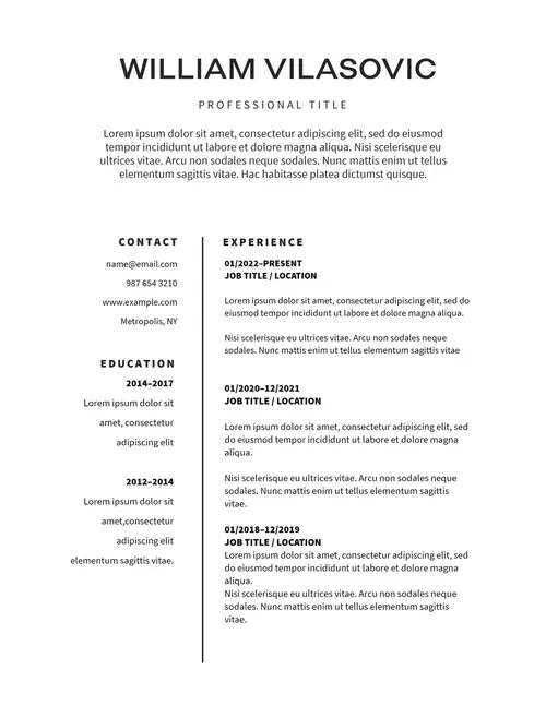 Resumes 15 resumes template
