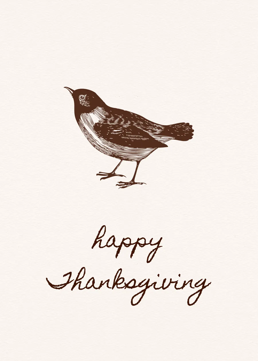 Happy Thanksgiving bird