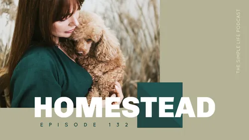 Homestead Episode 132  youtube template