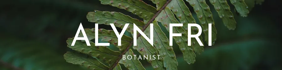 Alyn Fri.  Botanist linkedin-covers template