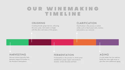 Our winemaking timeline flyers-infographics template