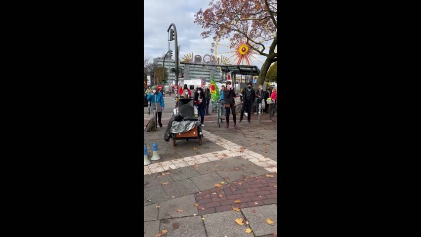 Fridays for Future climate strike in Hamburg, Germany, Hamburg, Germany, Hamburg, Germany - 05 Nov 2021 Editorial Stock Video