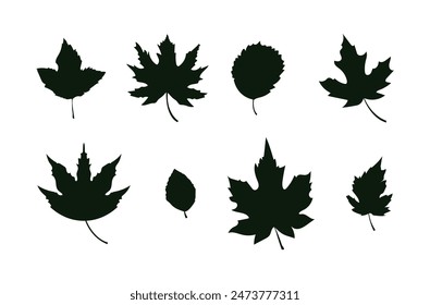 Collection of vector leaves in flat style. The concept of nature, autumn, leaf fall. Seasonal decoration on isolated background. Leaves for cover, advertising, wallpaper and background, banner. EPS10
 Arkistovektorikuva
