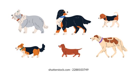 Perros lindos caminando. Los animales caninos reproducen perfiles establecidos. Perros de Bobtail, Sennenhund, Beagle, Corgi, Dachshund y Borzoi. Ilustraciones vectoriales planas aisladas en fondo blanco Vector de stock