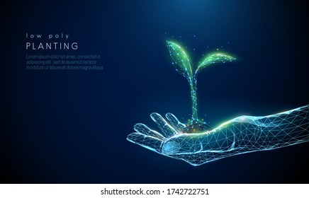 Abstract giving hand with young plant in soil. Low poly style design. Blue geometric background. Wireframe light connection structure. Modern 3d graphic concept. Isolated vector illustration. Stock Vector