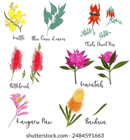 Ensemble de fleurs de Image vectorielle australiennes , plantes exotiques : image vectorielle de stock