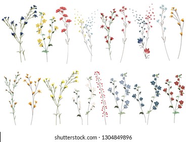 Big set botanic blossom floral elements. Branches, leaves, herbs, wild plants, flowers. Garden, meadow, feild collection leaf, foliage, branches. Bloom vector illustration isolated on white background Stock-vektor