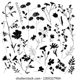 Big set silhouettes botanic blossom floral elements. Branches, leaves, herbs, wild plants, flowers. Garden, meadow, feild collection leaf, foliage. Vector illustration isolated on white background Stock-vektor