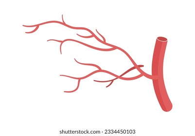Blood Vessel Healthcare Vector Illustration Stock vektor