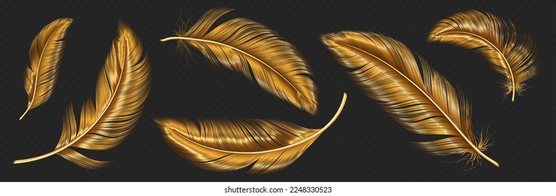 Gold feathers, bird wings plumage. Luxury vintage pen from quills. Soft fluffy golden feathers flying in air isolated on transparent background, vector realistic illustration Stock-vektor
