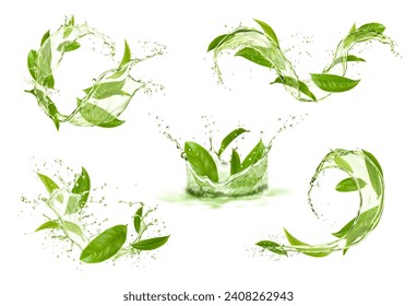 波の流れのある緑茶の葉はスプラッシュと滴を落とします。ベクター画像3D水または抹茶ドリンククラウン、ラウンドと波状のスプラッシュは、落下する液滴と泡で。リフレッシュメントと健康のための天然ハーブ飲料のベクター画像素材