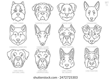 Dog head Silhouettes in alphabet order. All dog breeds. Simple line vector design. Vector illustration 库存矢量图