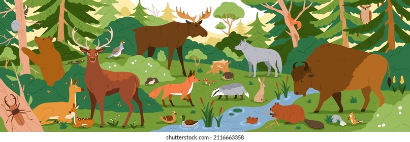 Forest animals in wild nature. Environment landscape with trees and habitats. Biodiversity of flora and fauna in temperate woods. Wildlife in woodland panorama. Colored flat vector illustration Imagem Vetorial Stock