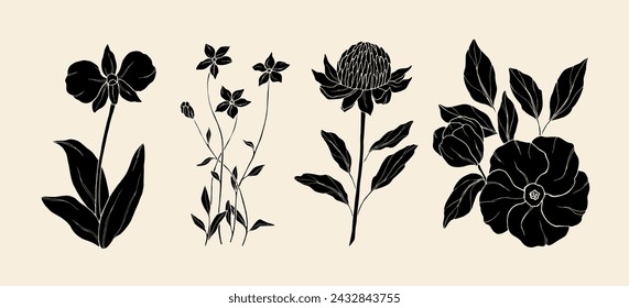 Fleurs autochtones australiennes à plat image vectorielle : image vectorielle de stock