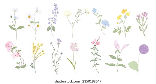 Hand drawn wild floral arrangements with small flower. Botanical illustration minimal style. Stock Vector