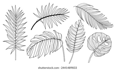 Hand drawn set of black and white tropical leaves and plants. Contours of tropical leaves isolated on a white background. Monstera leaves, fern, palm branches. Stock-vektor