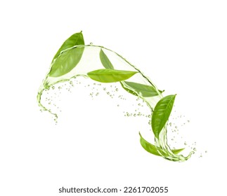 ハーブドリンク波スプラッシュ、緑茶の葉と水の流れ。有機飲料のベクター画像3D要素、リアルなハーブ、アクアジェットとスプラッタと広告用テンプレート。新鮮な植物、自然のアロマティーのベクター画像素材