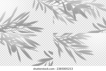 Olive tree branch leaf overlay shadow. Isolated realistic plant branches casts a delicate shades, gray silhouette of olive leaves of dappled sunlight Stockvektorkép