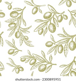 Olive vintage print. Vector seamless green plant and oil fruit. Mediterranean pattern. Extra virgin food Stockvektorkép
