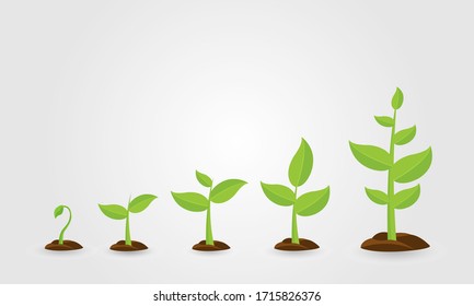Saplings, Sprouts Growth Stages Vector Drawings Set. Green Saplings Growing In Soil Isolated Cliparts Pack. Stock Vector
