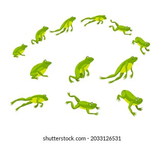 Set of green frogs jumping in sequence. Cartoon vector illustration. Leaping toads on white background. Animated funny water animals. Nature, movement, amphibia, reptile, fauna concept for design Immagine vettoriale stock