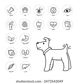 A set of icons for dog. The outline icons are well scalable and editable. Contrasting elements are good for different backgrounds. EPS10.	 Stockvektorkép