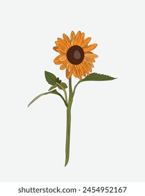 Стоковое векторное изображение: Single Hand Drawn Sunflower Vector