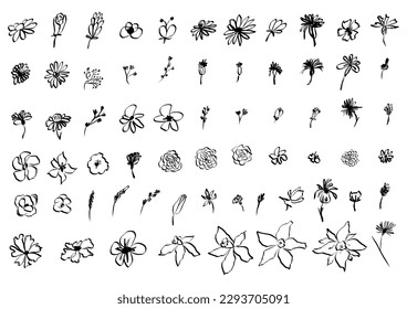 Sketch drawing flower collection. Big set artistic ink brush drawn small flowers. Rose, chamomile, narcissus, lily and other different wild, exotic plants. Field, meadow, tropical vector illustration Stock-vektor
