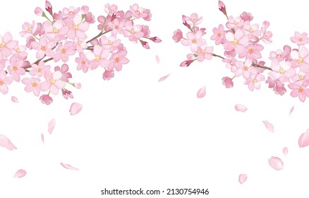 Spring flowers: Arched frame of cherry blossoms and falling petals. Watercolor illustration. (Vector. Layout can be changed) Stock Vector