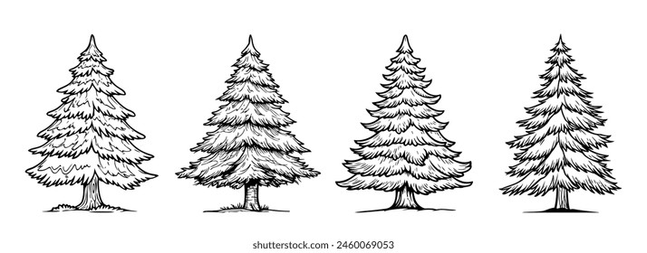 Pine trees outline set isolated on white background Immagine vettoriale stock