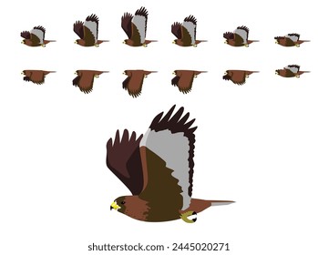 Vector de dibujos animados de la secuencia de animación del animal volador del halcón de cola roja Vector de stock