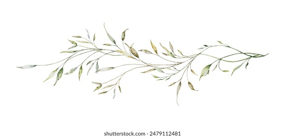 水彩植物の葉と枝。緑の葉の手描きの単独塗装カバー、布、招待状、結婚式、グリーティングカードの装飾的なデザインに適しています。のベクター画像素材