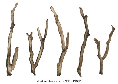 Watercolor dry tree branches set closeup isolated on white background. Hand painting on paper Stock Vector